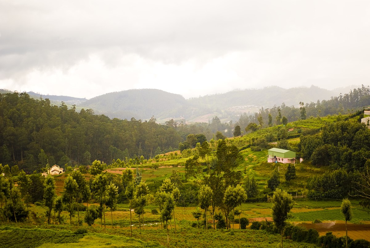 नीली पहाड़ियाँ (नीलम - नीला और गिरि - पहाड़ी या पर्वत) इस नाम का पहला उल्लेख सिलप्पदिकारम में पाया गया है। नीली पहाड़ियाँ (नीलम - नीला और गिरि - पहाड़ी या पर्वत) इस नाम का पहला उल्लेख सिलप्पदिकारम में पाया गया है।