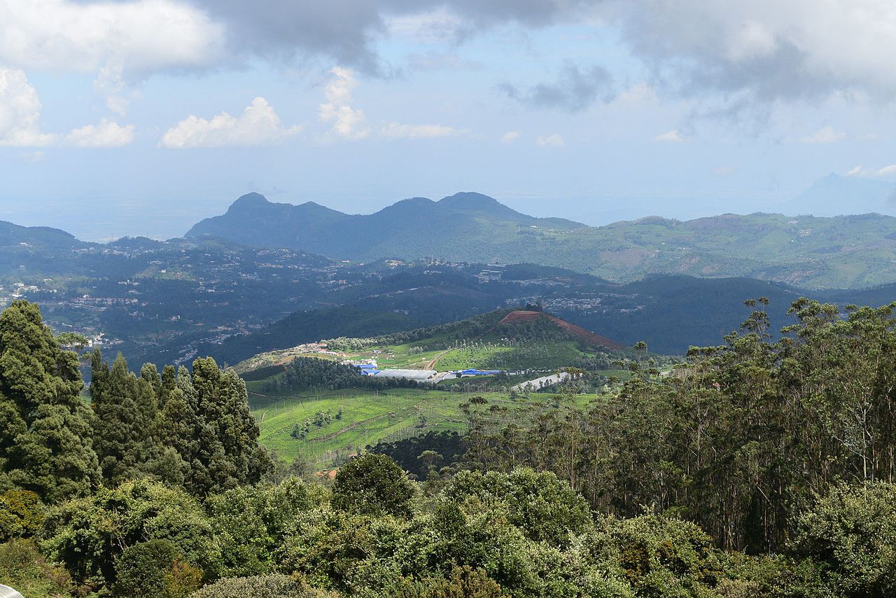 Nilgiri Mountains नीलगिरि पर्वत
