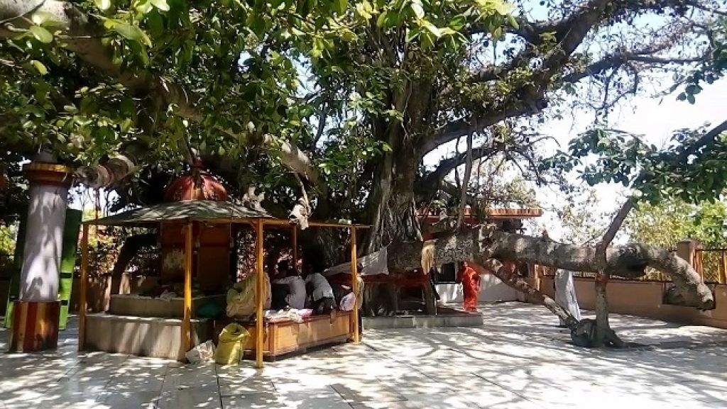 Shukratirtha Shukratal Akshaya Vat शुक्रतीर्थ शुक्रताल अक्षय वट